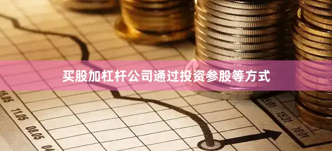 买股加杠杆公司通过投资参股等方式