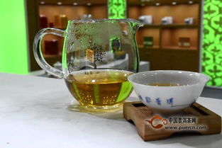 第十五屆中國(guó)普洱茶節(jié)開(kāi)幕,各茶企齊聚普洱