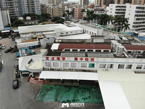有22年的茂名肉聯廠,對附近居民影響越來越大 適合建在市區嗎